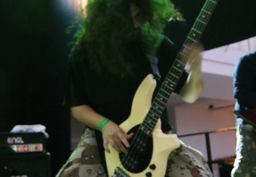 WGT2011-229