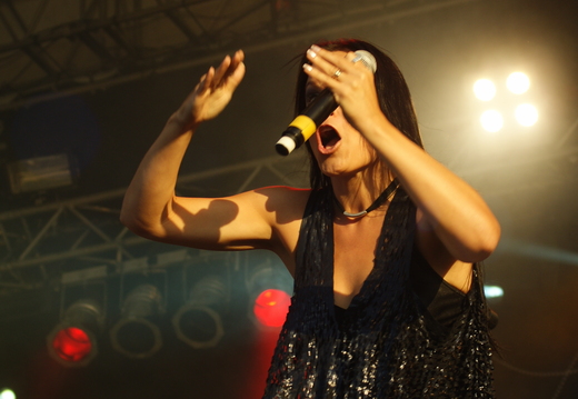 RockHarz2011-769